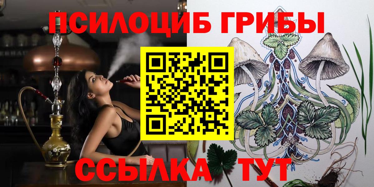 Галлюциногенные грибы мухоморы  Вход с VPN  Ртищево  Галлюциногенные грибы мицелий 